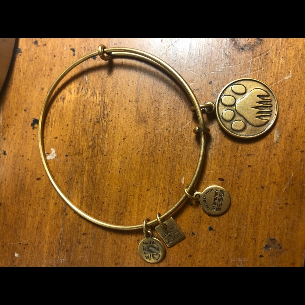 Alex and ani paw print charm bracelet